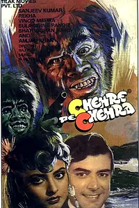 Главный постер фильма «Двуличный (1981)»