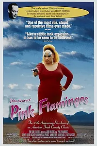 Постер к фильму «Розовые фламинго (1972)»