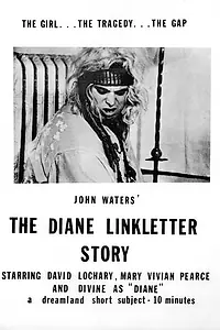 Главный постер фильма «История Дайаны Линклеттер (1970)»