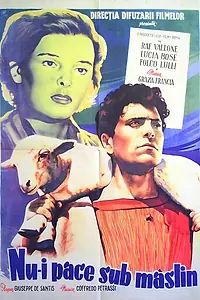 Главный постер фильма «Нет мира под оливами (1950)»