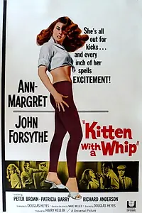 Постер к фильму «Кошечка с хлыстом (1964)»