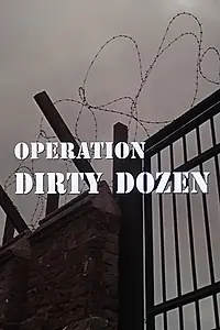 Главный постер фильма «Operation Dirty Dozen (1967)»
