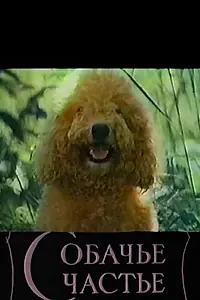 Постер к фильму «Собачье счастье (1991)»