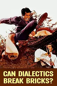 Постер к фильму «Может ли диалектика разбивать кирпичи? (1973)»
