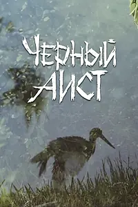 Постер к фильму «Черный аист (1993)»