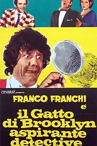 Главный постер фильма «Бруклинский Кот, помощник детектива (1973)»