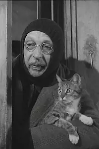 Главный постер фильма «Кошатник (1969)»