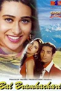 Постер к фильму «Праведник (1996)»