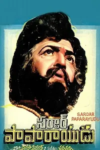 Постер к фильму «Sardar Papa Rayudu (1980)»