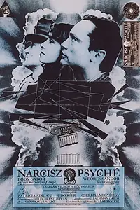 Постер к фильму «Нарцисс и Психея (1980)»