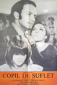 Главный постер фильма «Затворница (1971)»