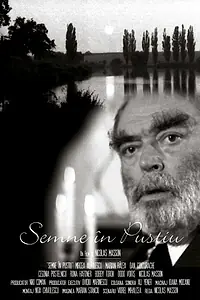 Постер к фильму «Semne in pustiu (1996)»