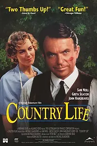 Главный постер фильма «Провинциальный роман (1994)»
