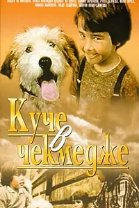 Постер к фильму «Собака в ящике (1982)»
