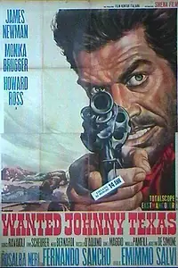 Главный постер фильма «Разыскивается Джонни Техасец (1967)»