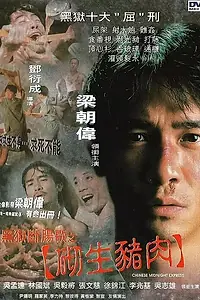 Главный постер фильма «Полуночный китайский экспресс (1997)»