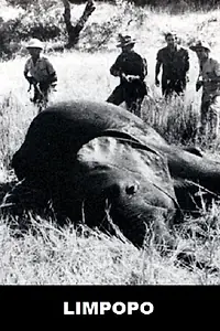 Постер к фильму «Limpopo (1970)»