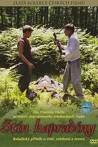Постер к фильму «Тень папоротника (1986)»