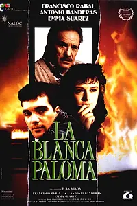 Главный постер фильма «Белая голубка (1989)»