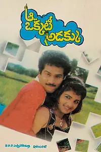 Постер к фильму «Aa Okkati Adakku (1993)»