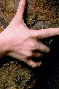 Постер к фильму «Сувенир (1996)»
