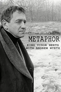 Постер к фильму «Метафора (1980)»