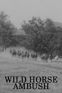 Постер к фильму «Wild Horse Ambush (1952)»