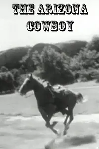 Постер к фильму «Аризонской ковбой (1950)»