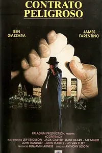Главный постер фильма «Семья Рико (1972)»