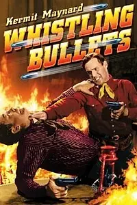 Постер к фильму «Whistling Bullets (1937)»