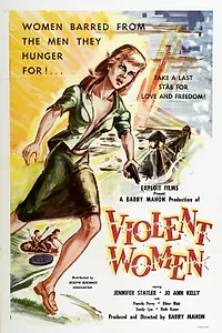 Постер к фильму «Violent Women (1960)»