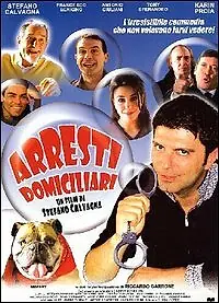 Постер к фильму «Домашние аресты (2000)»