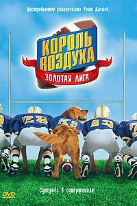 Постер к фильму «Король воздуха: Золотая лига (1998)»