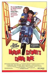 Главный постер фильма «Домашняя война (1987)»