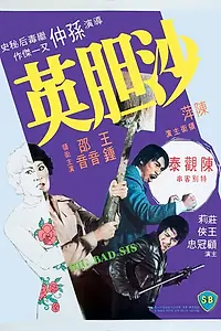 Главный постер фильма «Sa dam ying (1976)»