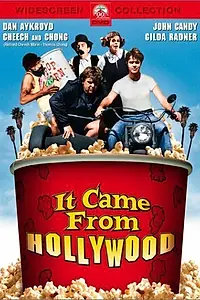 Постер к фильму «Это вышло из Голливуда (1982)»