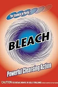Постер к фильму «Bleach (2002)»