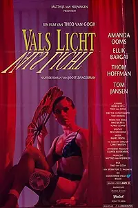 Главный постер фильма «Обманчивый свет (1993)»