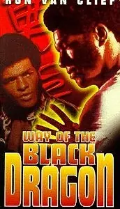 Постер к фильму «Путь черного дракона (1978)»
