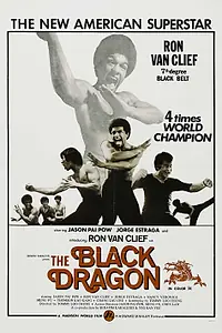 Постер к фильму «Xia nan yang (1974)»