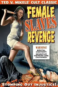 Постер к фильму «Apartheid Slave-Women's Justice (1997)»