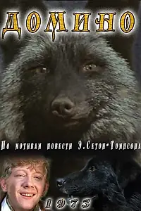 Постер к фильму «Домино (1973)»