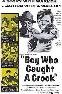Главный постер фильма «Boy Who Caught a Crook (1961)»