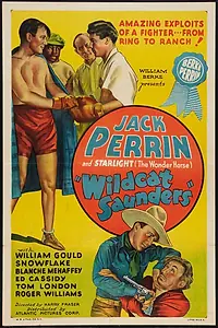Постер к фильму «Wildcat Saunders (1936)»