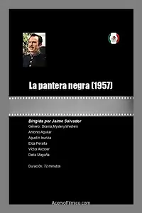 Главный постер фильма «La pantera negra (1957)»