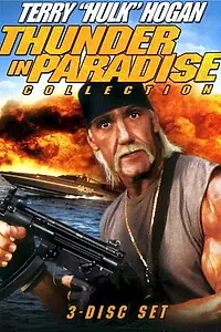 Постер к фильму «Гром в раю 3 (1995)»