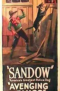 Постер к фильму «Avenging Fangs (1927)»