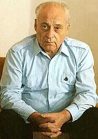 Постер к фильму «Анатолий Рыбаков: Послесловие (2006)»