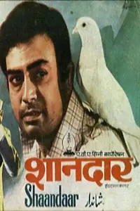 Главный постер фильма «Белый голубь (1974)»
