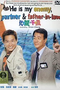 Главный постер фильма «Он мой враг, партнер и свекр (1999)»